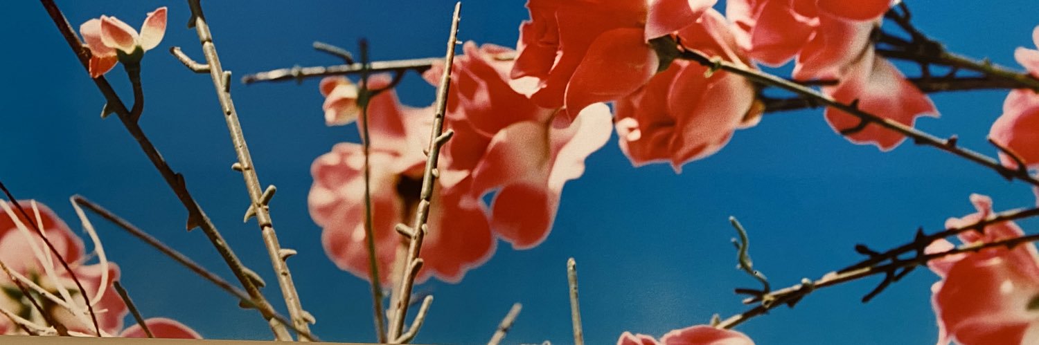 MaSa8s's profile banner image