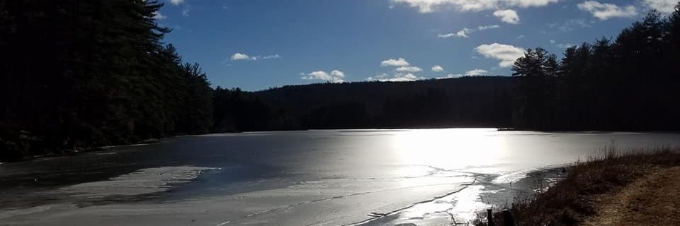 StephenRoylance's profile banner image