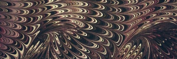 0kidoki0 Profile Banner