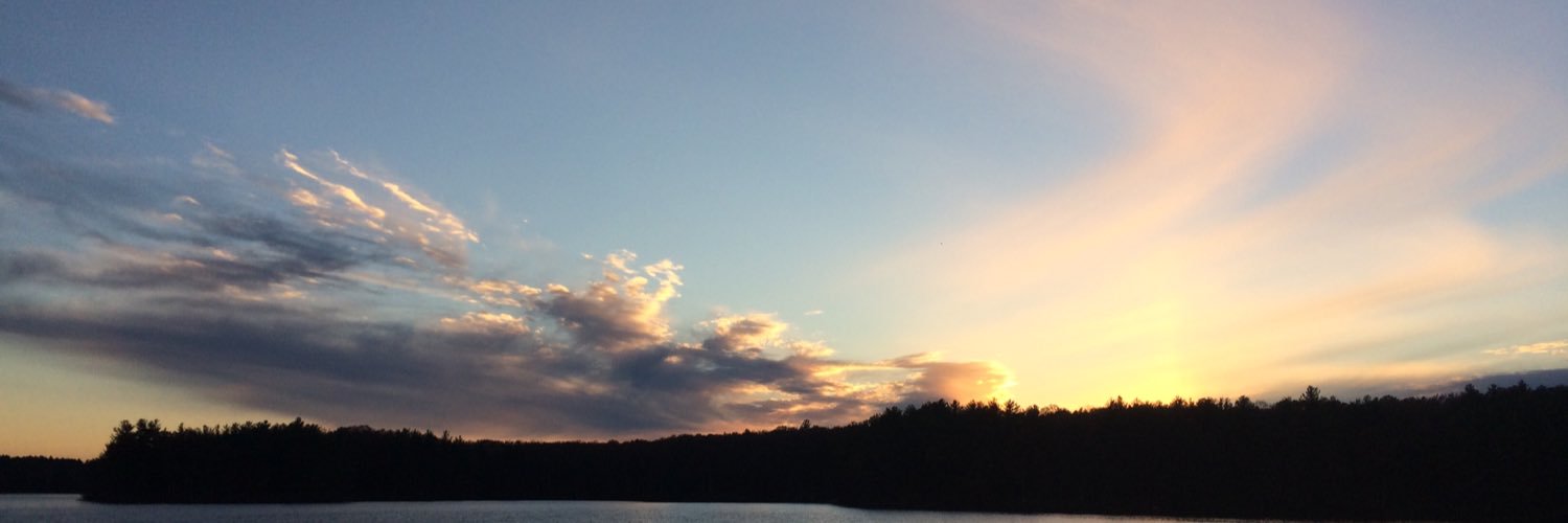 mrmozerella's profile banner image