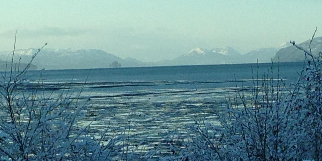 AlaskanEducator's profile banner image