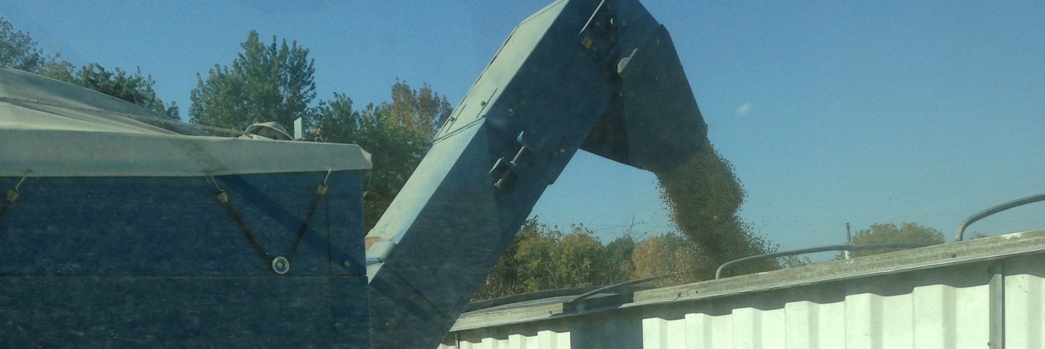 Dalton Haenni banner