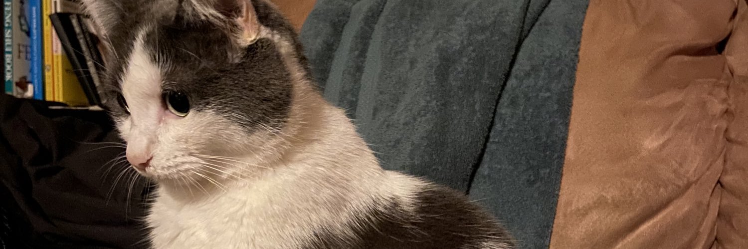 queencatison's profile banner image