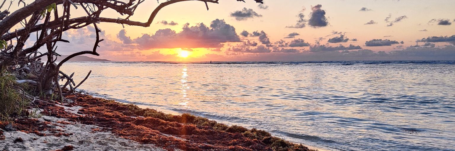 DjoZuuur's profile banner image