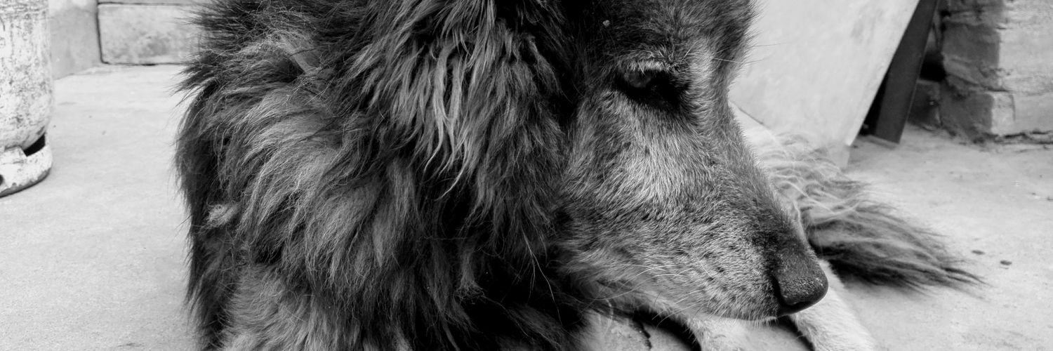 AdriLera's profile banner image