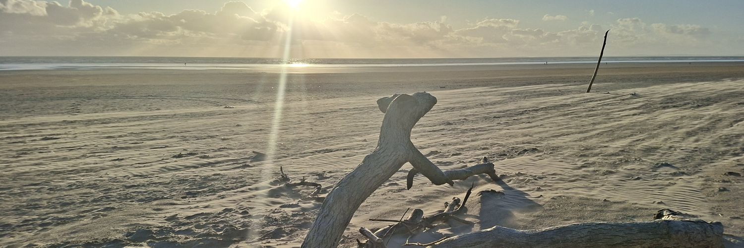 knowles_ali's profile banner image