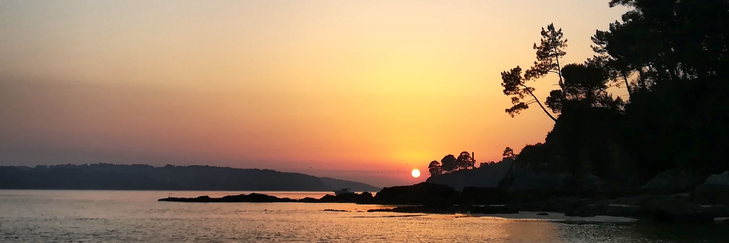 sofiacanay's profile banner image