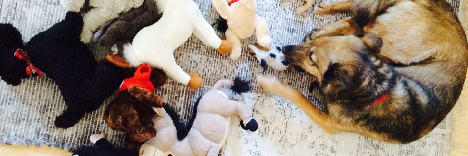 MyLimpyDog's profile banner image