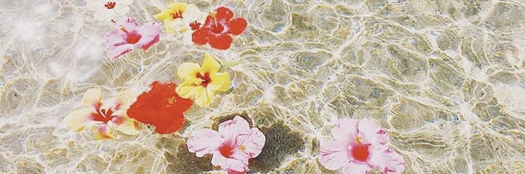 knn_0808's profile banner image