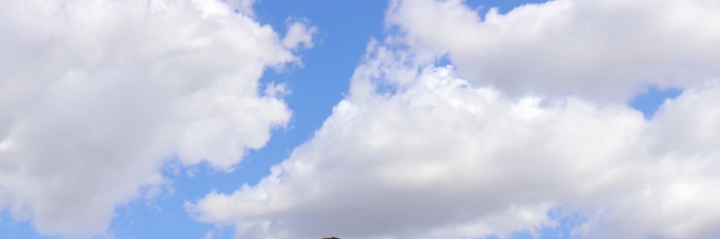 tyffanygoria's profile banner image