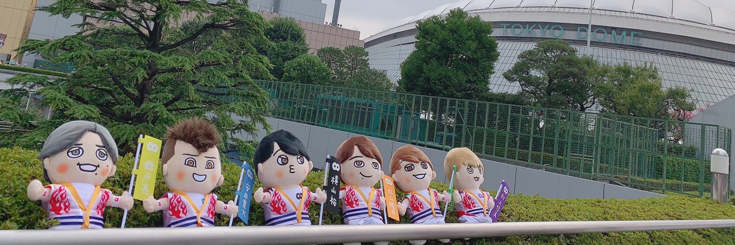 chia_move's profile banner image