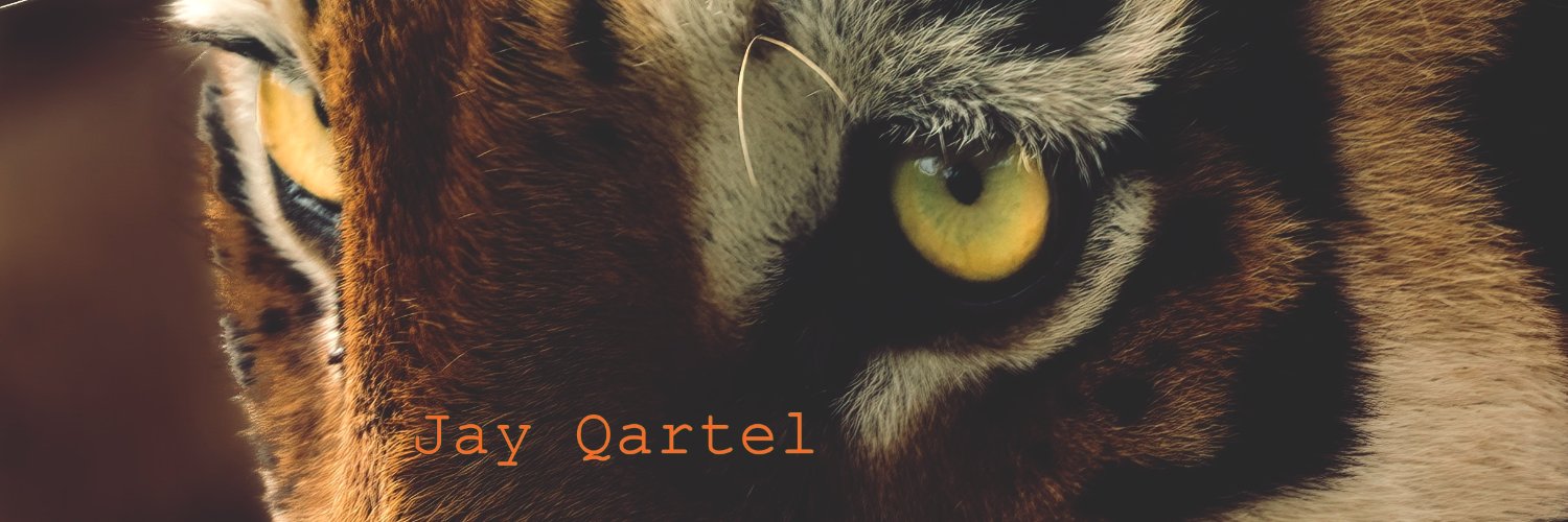 Jay_Qartel Profile Banner