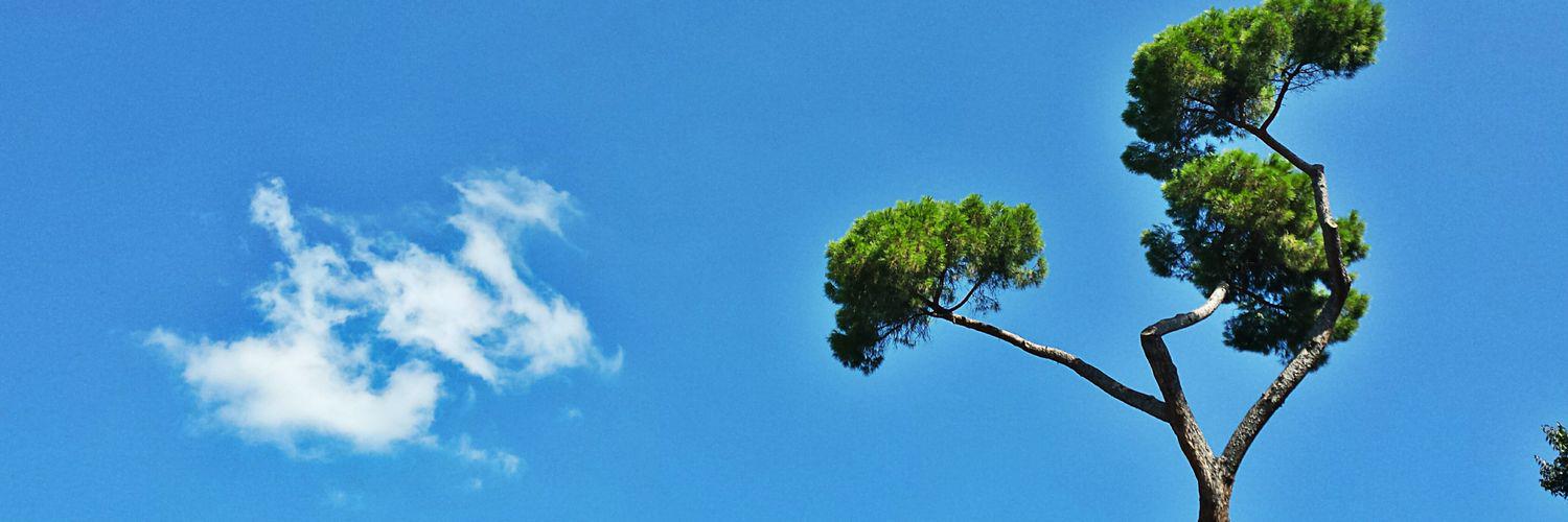 agneseguida's profile banner image