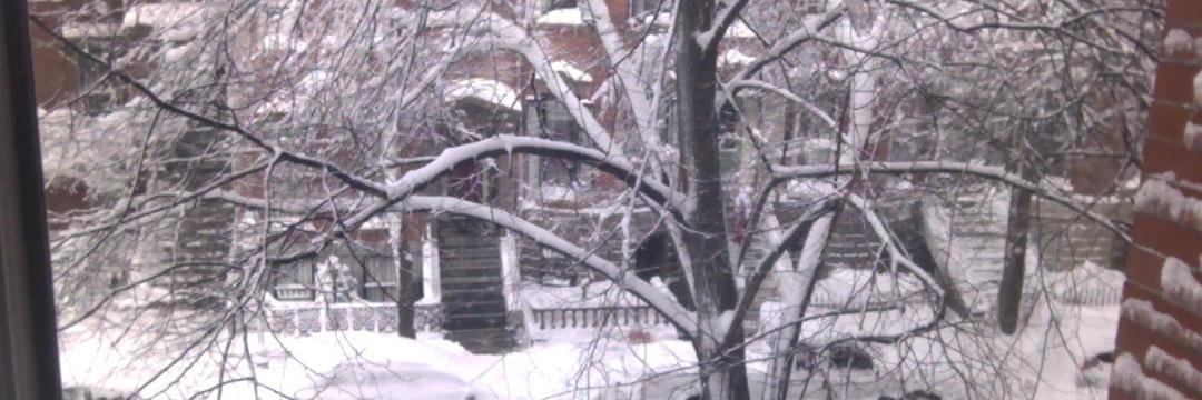 Bart Flaherty banner