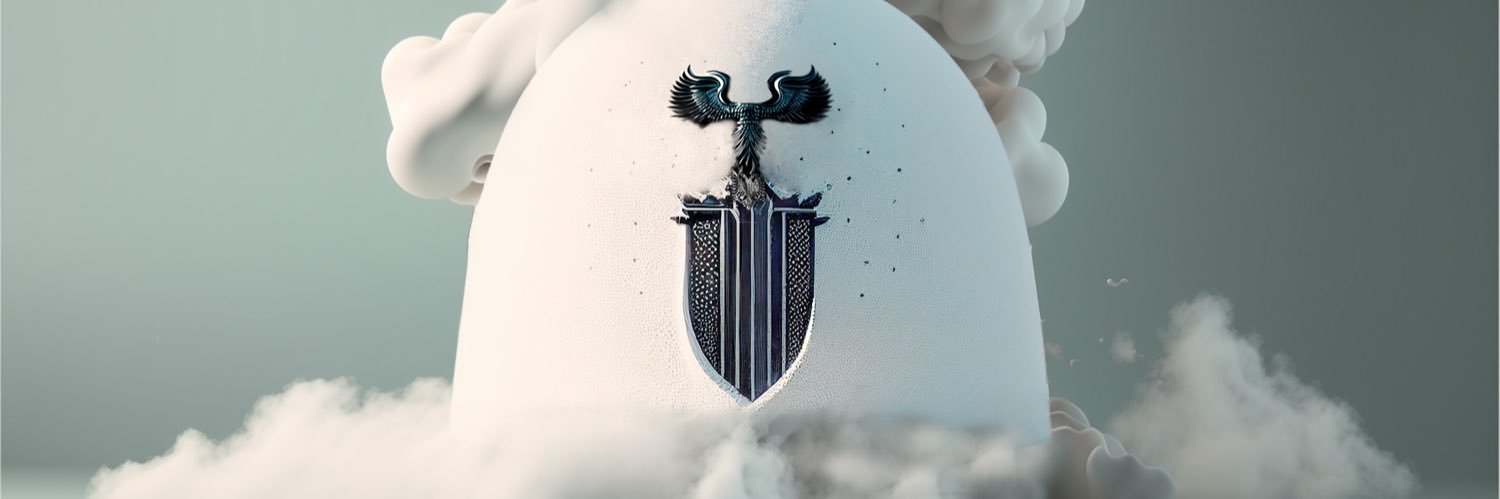 Vullnets's profile banner image