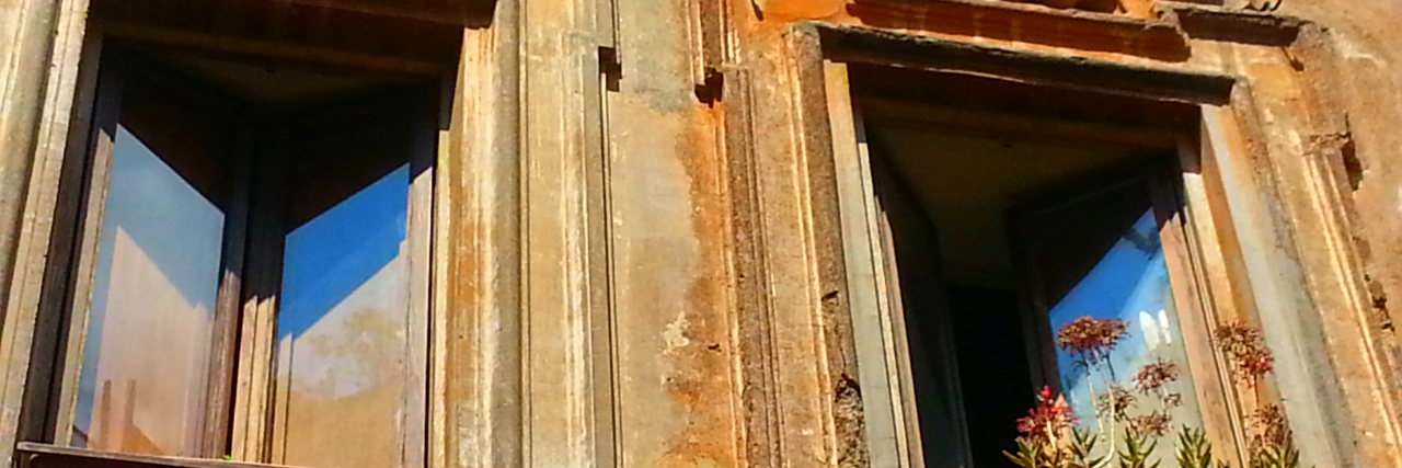 Monica Farinetti banner