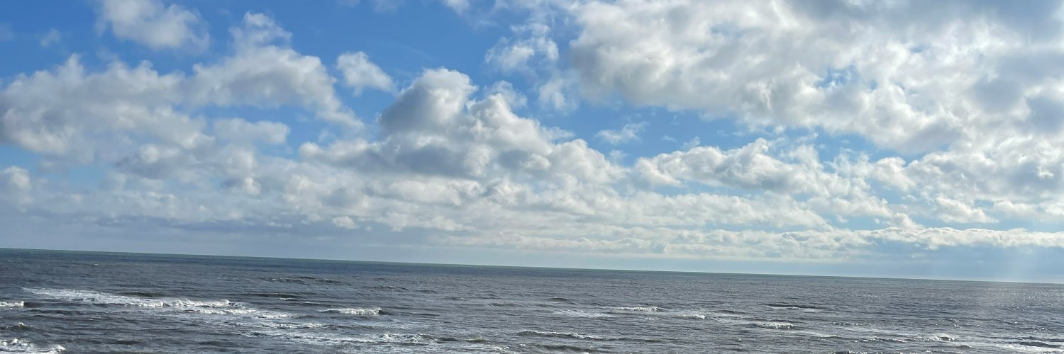 Louise_Laban's profile banner image