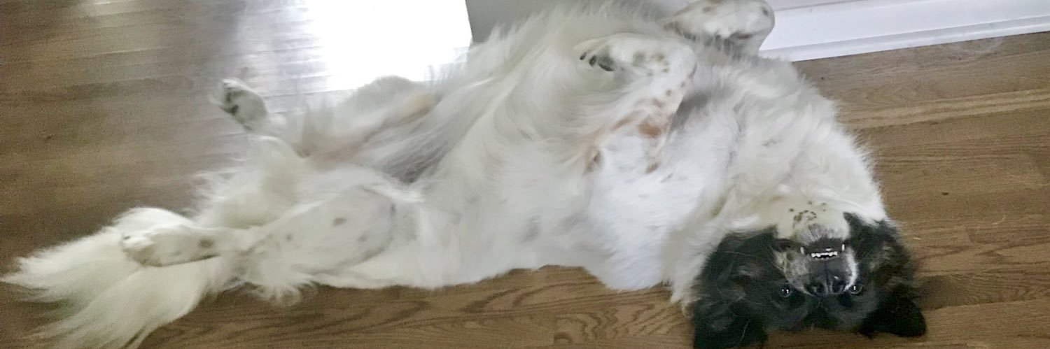 BrittanyPrince's profile banner image