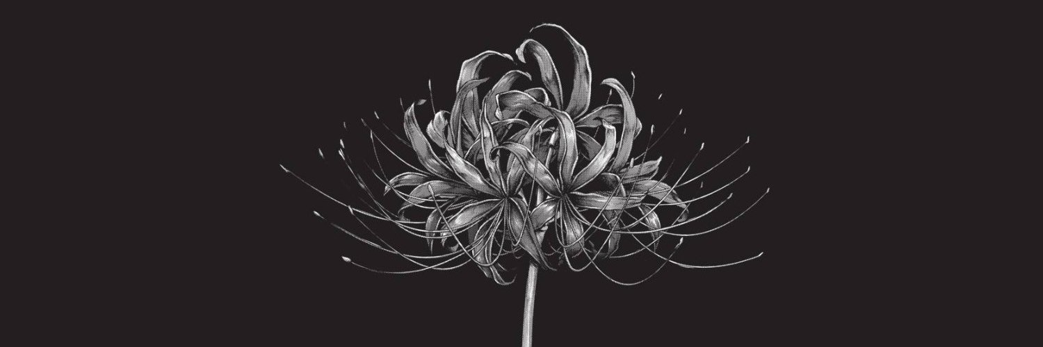 liaerille's profile banner image
