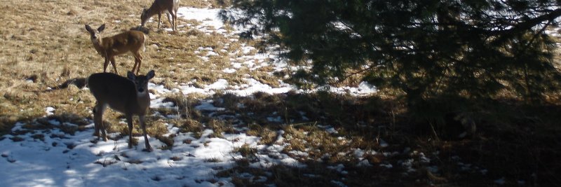 MarkLeckner1's profile banner image