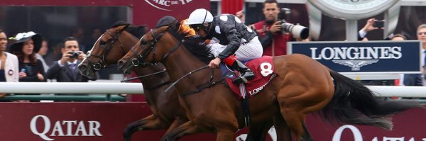 Swalo 🎿 ⛷️ 🥌 banner