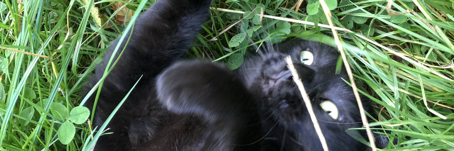 TijnHof's profile banner image