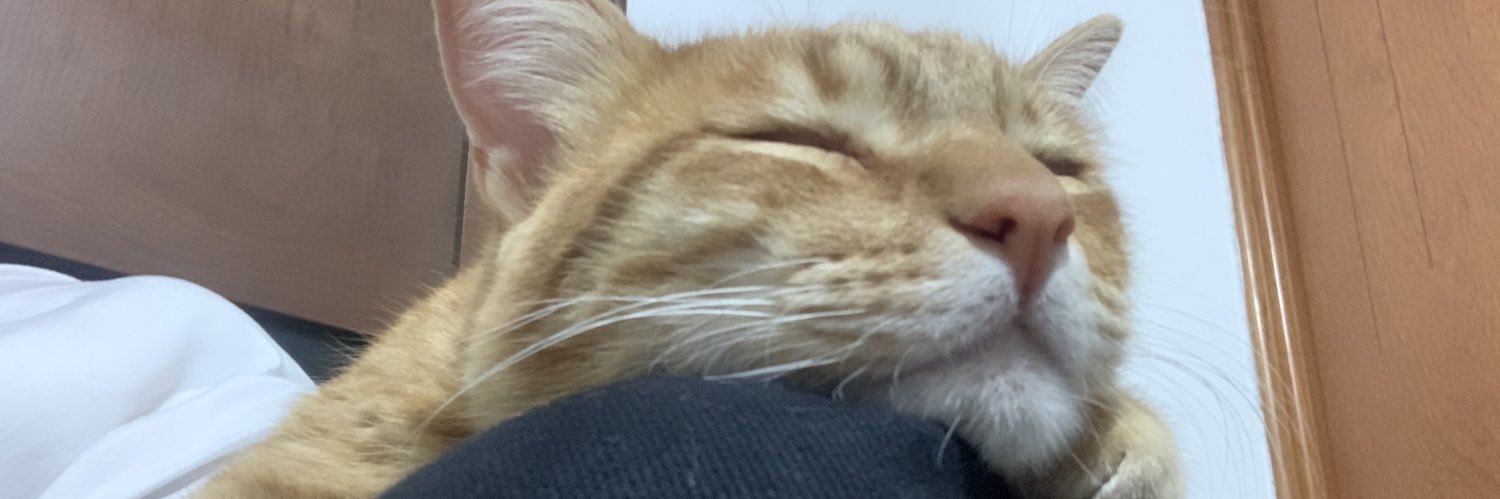 felisaleyva's profile banner image