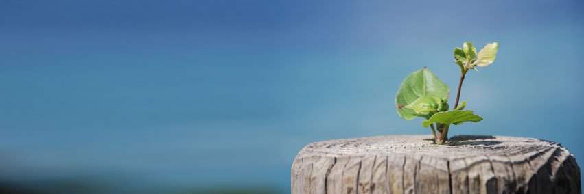 biwanosuke's profile banner image