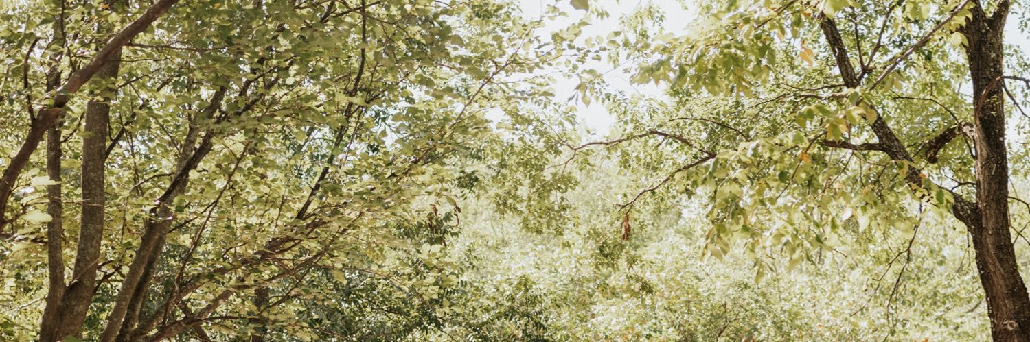 AudieMeraudie's profile banner image