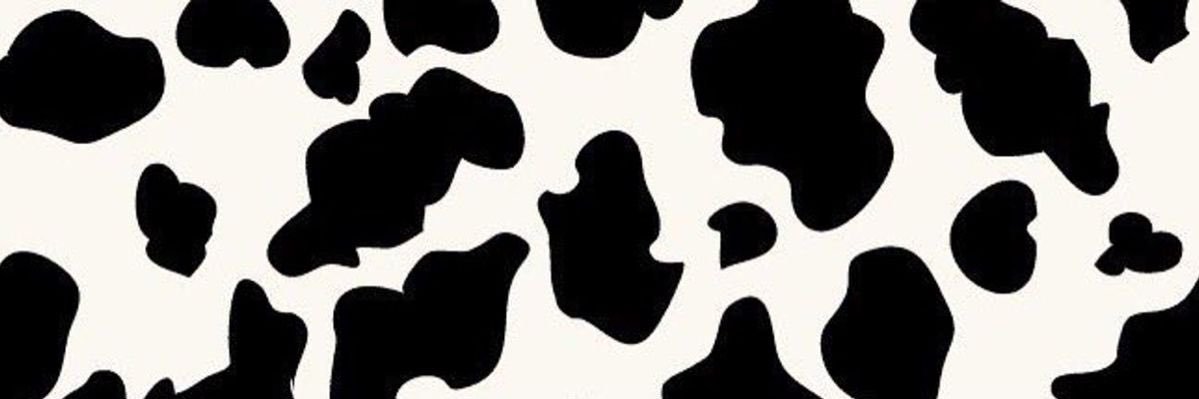 Elintuckx's profile banner image