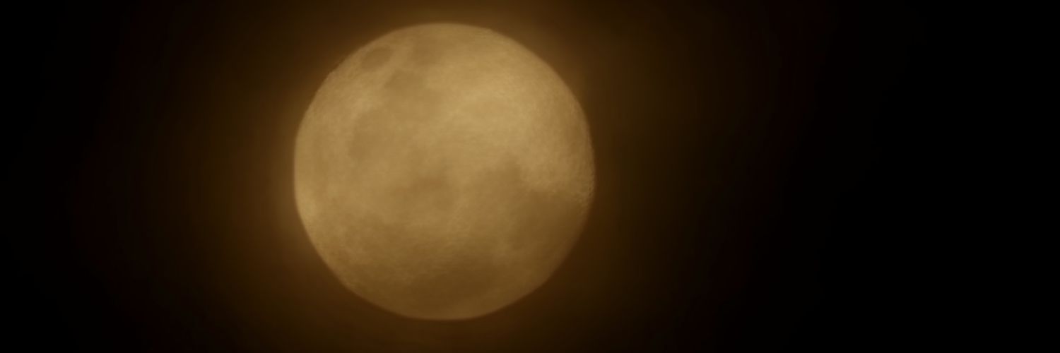 MalditoCejon's profile banner image