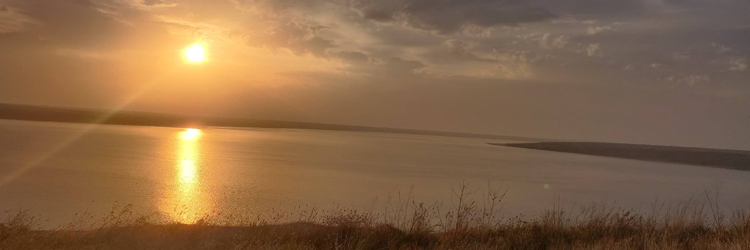 stran__stran's profile banner image