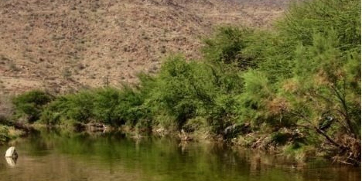 Abdullah7360sa's profile banner image