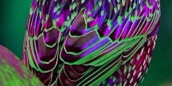 FahdAlghannam's profile banner image
