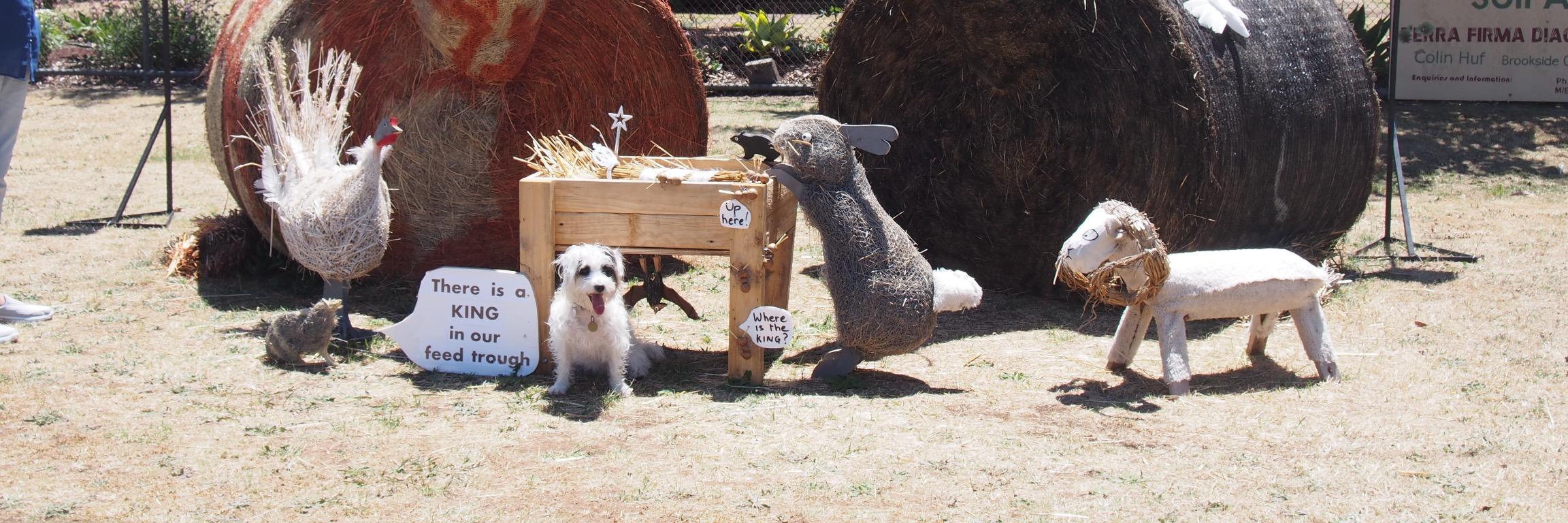 Steve Hegarty ☮️ banner