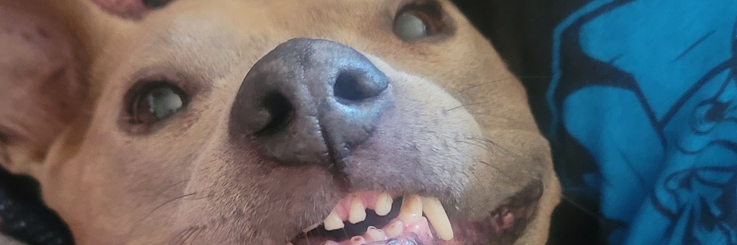 ZeEminator's profile banner image