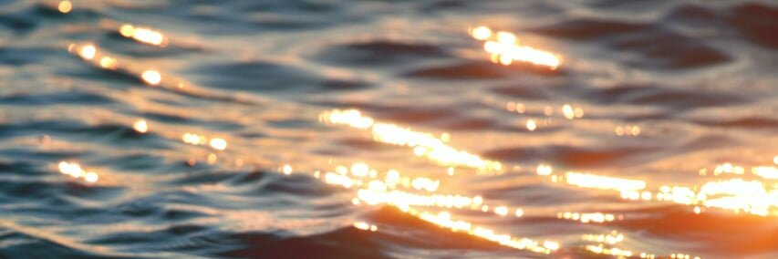 rnnramln's profile banner image