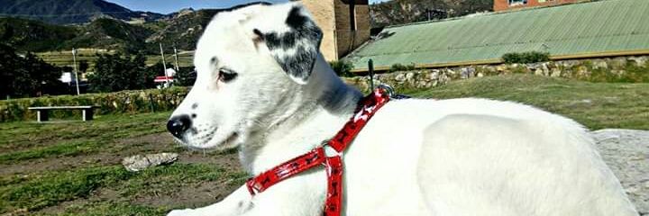 DGTC__'s profile banner image