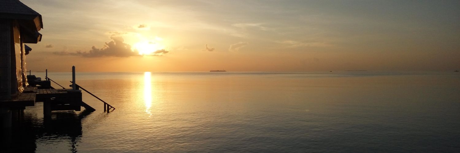 H4XSF's profile banner image