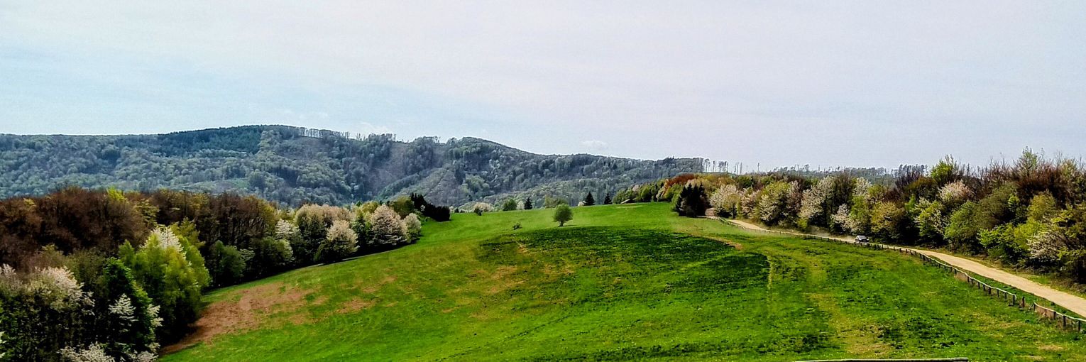 Tomáš Fránek banner