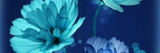 TOOT_2011's profile banner image