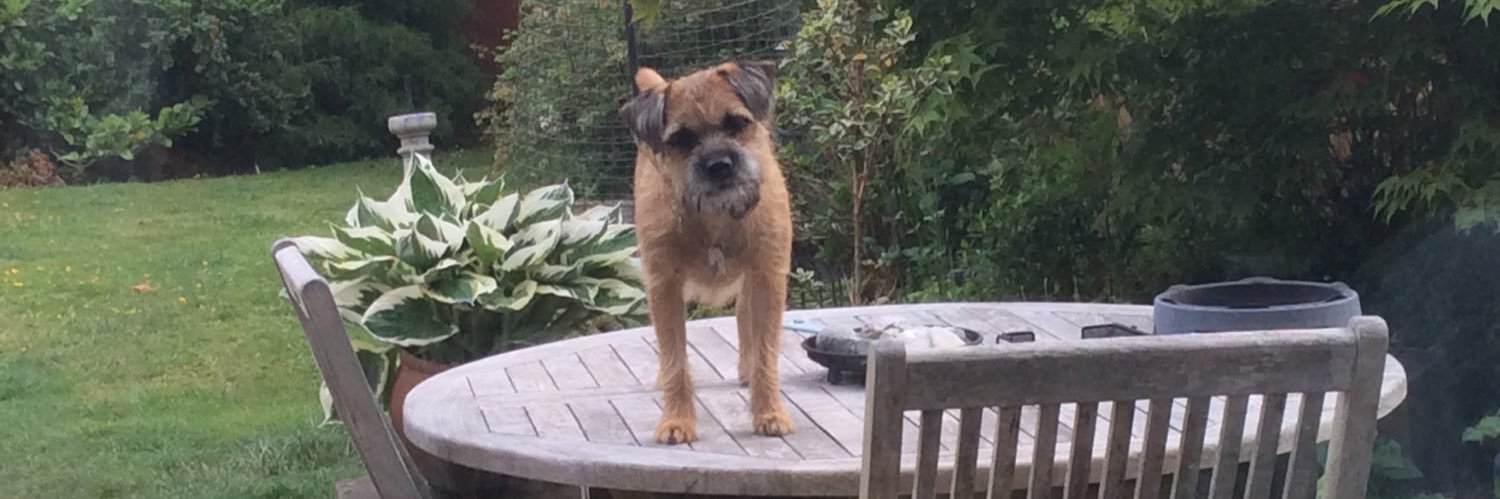 Lady Winnie BT 🏴󠁧󠁢󠁳󠁣󠁴󠁿 banner