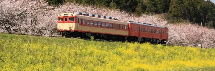 e_yazawa's profile banner image
