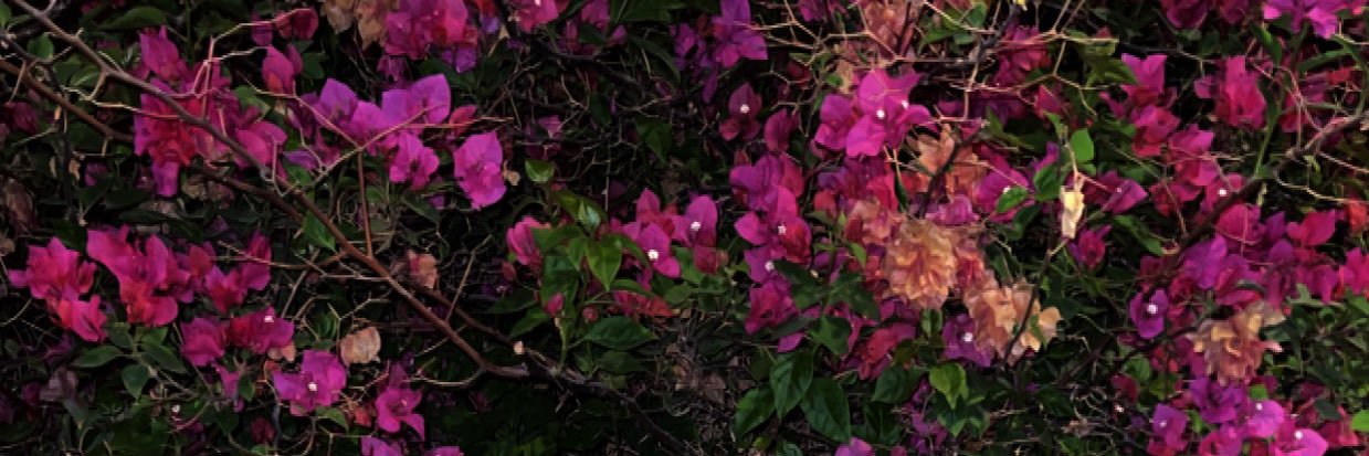 بنت عبدالله ❤️ banner