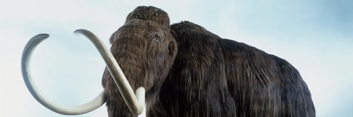 TKAOL's profile banner image