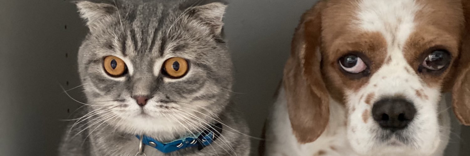 fundadenizeri's profile banner image