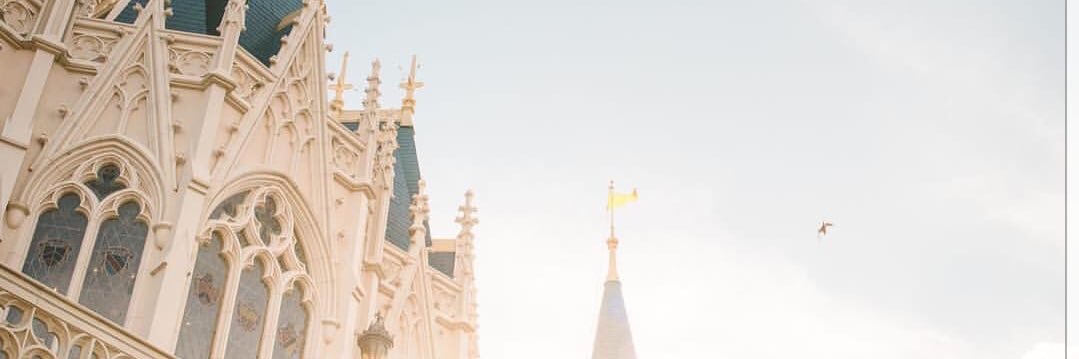 ge_chapman's profile banner image