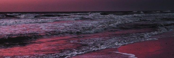 Ashley May banner