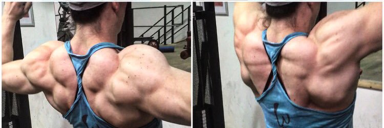 pronutrition_pt's profile banner image