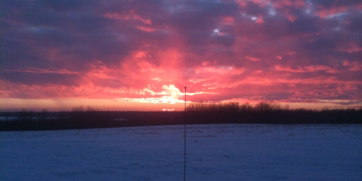 Charles.Ellard banner